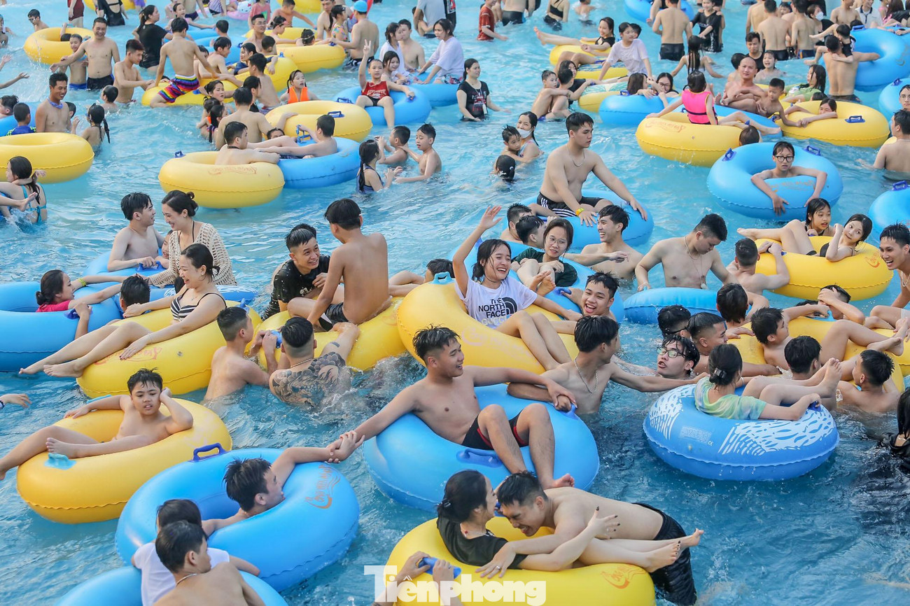 Khu vực hồ bơi đều ken đặc người.