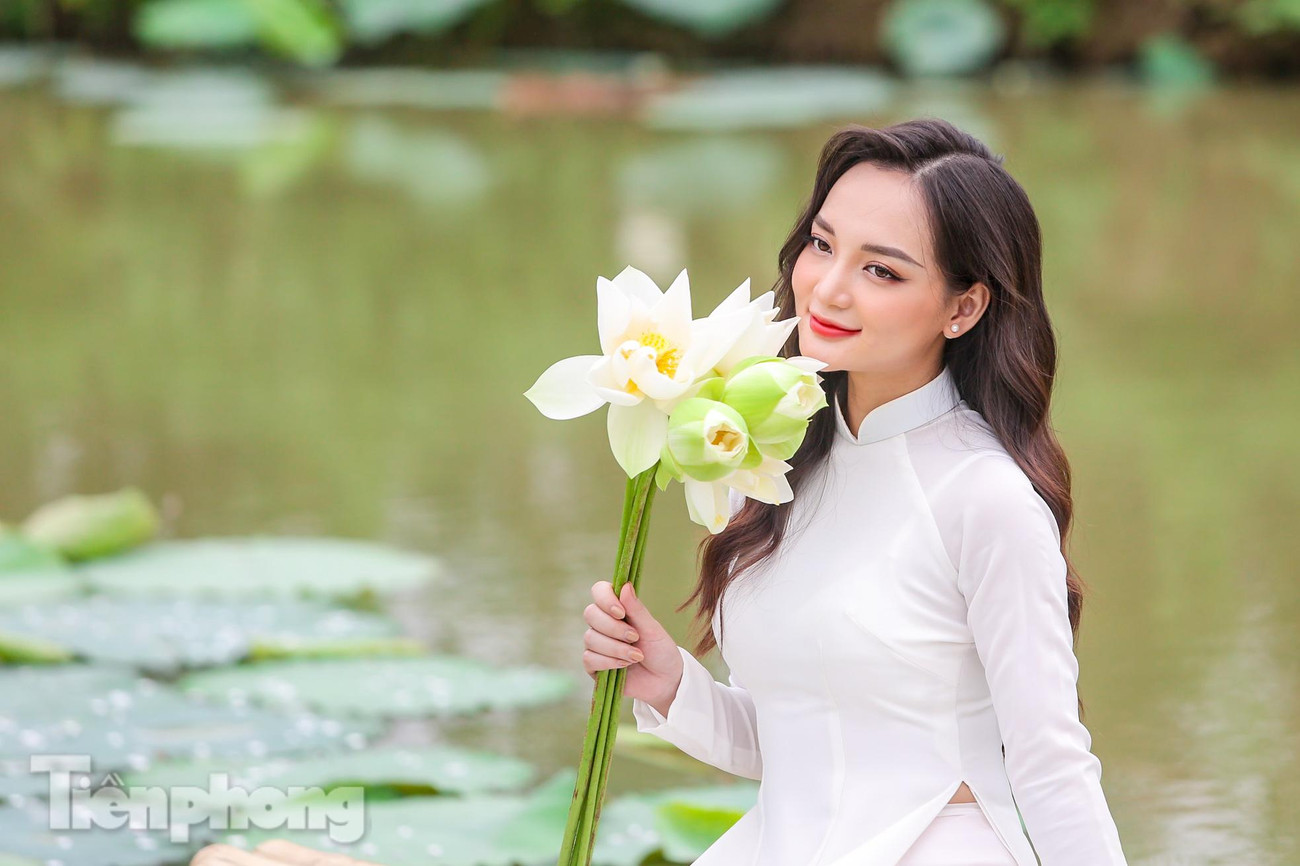 Hình ảnh sen hồng khá gần gũi nhưng sen trắng lại khá lạ mắt với người dân Hà Nội.