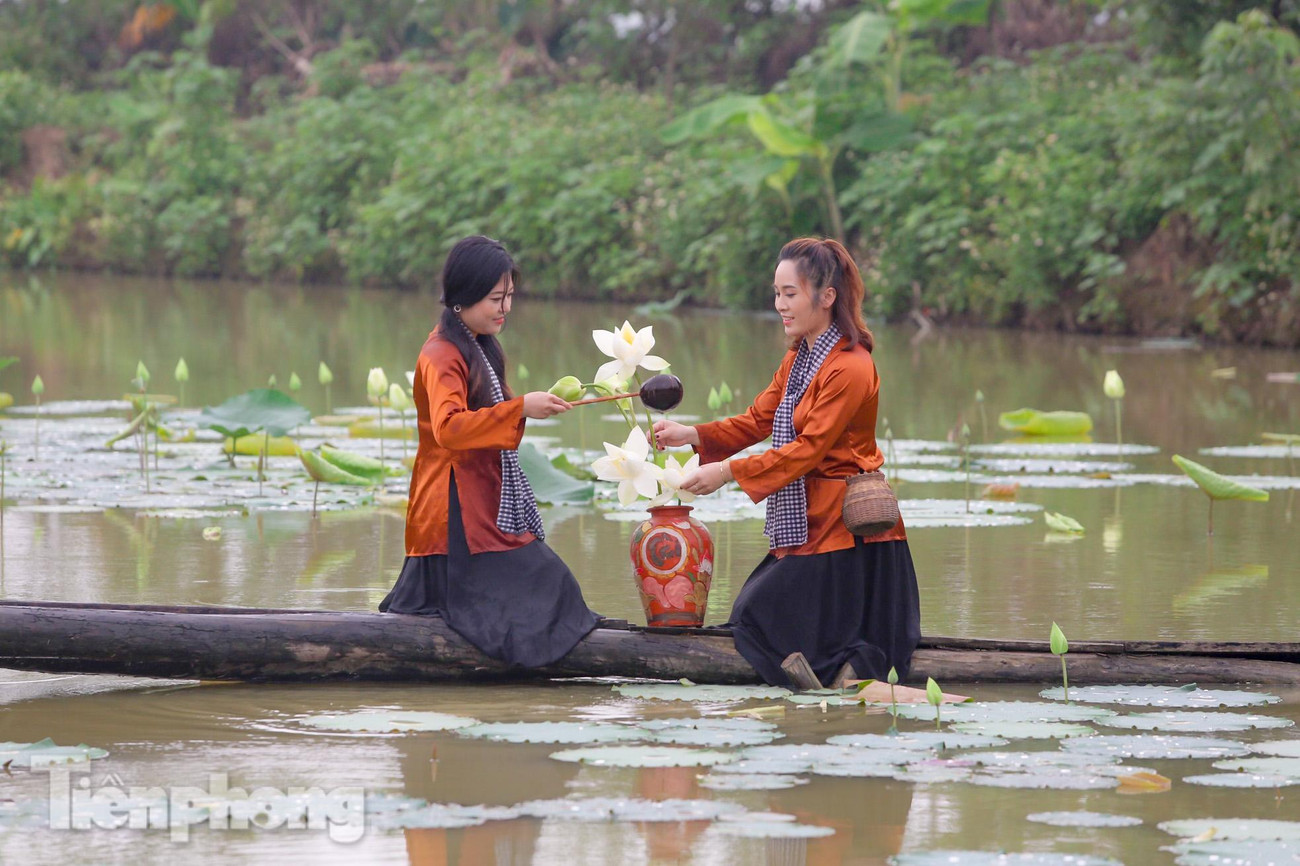 Với giá vé 50.000/người/lượt, đầm sen trắng độc đáo này đang thu hút người dân Hà thành, đặc biệt là thiếu nữ đến chụp ảnh, thả dáng bên hoa.