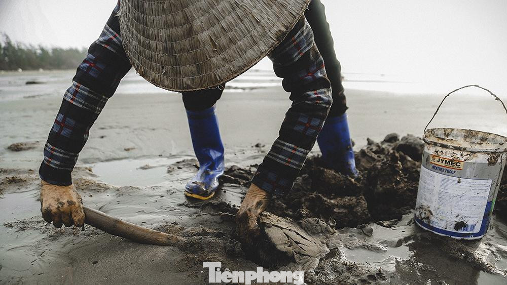 Ngư dân phải dùng những chiếc xẻng nhỏ lật lớp cát và đất biển lên để bới don. Don có hình thù giống con chai nhưng nhỏ hơn nên phải nhìn kĩ mới thấy. Cao điểm của mùa don bắt đầu từ tháng 5 đến tháng 6 dương lịch