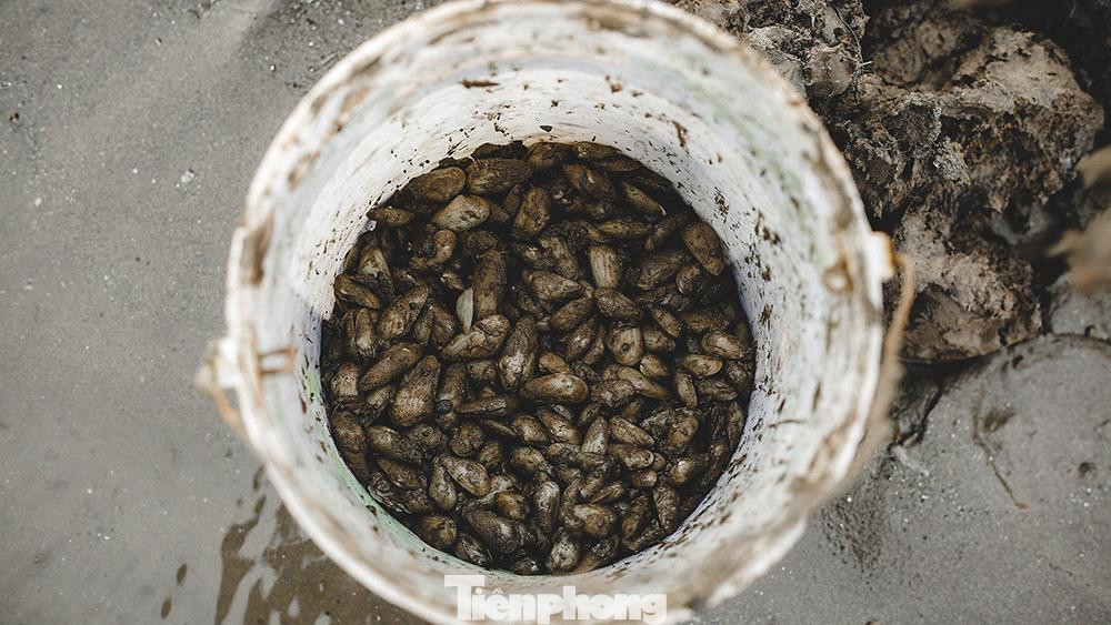 Những con dắt tươi rói có giá từ 30-50 nghìn đồng/ cân và rất được người dân ưa chuộng.