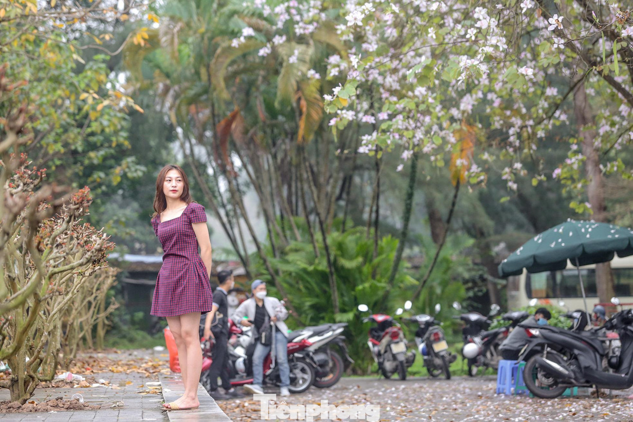 Nhiều chị em đã tới đây để check-in với loài hoa đặc trưng của núi rừng Tây Bắc.