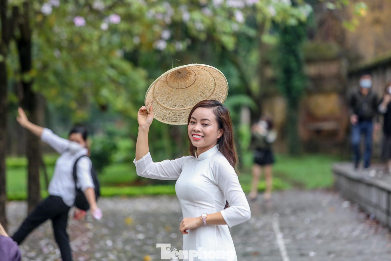 Hoa ban tím có nhiều ở con đường Hoàng Diệu. Và đây cũng là địa điểm quen thuộc được các bạn trẻ, các vị phụ huynh ghé đến để ngắm hoa, chụp cho mình những tấm hình thật đẹp, lưu dấu lại một mùa ban tím mới ở Hà Nội.