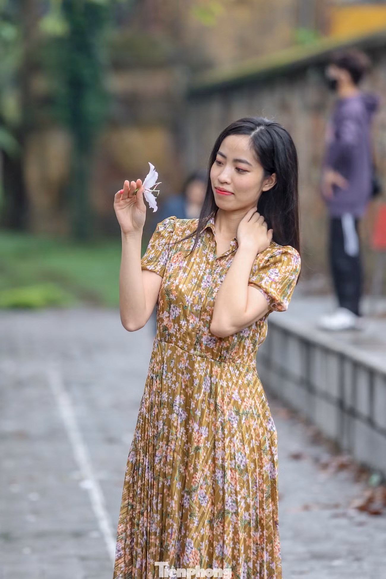 Dự kiến mùa hoa ban sẽ kéo dài hết tháng 3.
