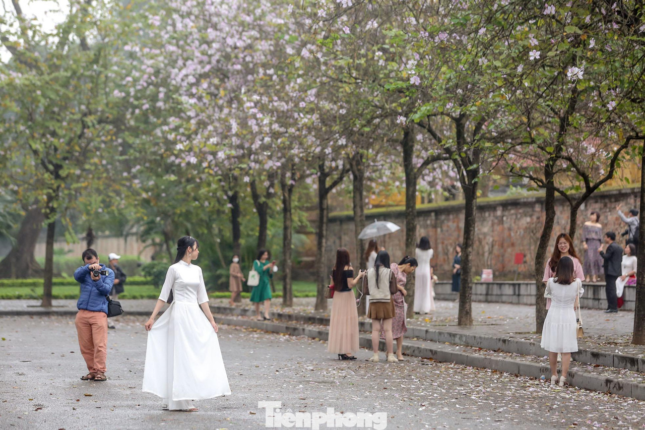 Đây cũng là dịp người dân Thủ đô tranh thủ "lên đồ", đến hàng hoa này check-in, chụp ảnh khiến con phố tấp nập, nhộn nhịp.