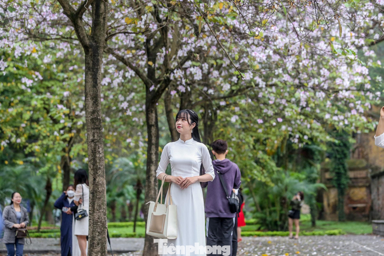 Dù đang có mưa phùn nhưng cũng không cản bước được người dân đến với con đường thơ mộng này.