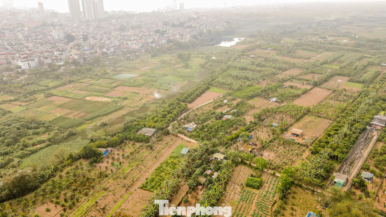 Khu vực bãi giữa có diện tích khoảng 23 hécta nằm chủ yếu trên địa bàn phường Phúc Tân, trong đó có một phần (khoảng một ha) thuộc địa phận quận Long Biên.