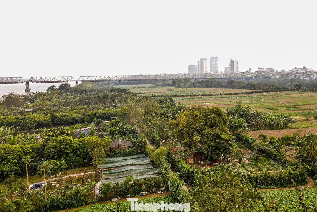 Khu vực bãi giữa, bãi bồi ven sông Hồng trên địa bàn quận Hoàn Kiếm thuộc địa bàn phường Chương Dương và Phúc Tân. Diện tích này không cố định phụ thuộc mùa nước từng năm, được tiếp giáp với 3 quận: Ba Đình, Hai Bà Trưng và quận Long Biên.