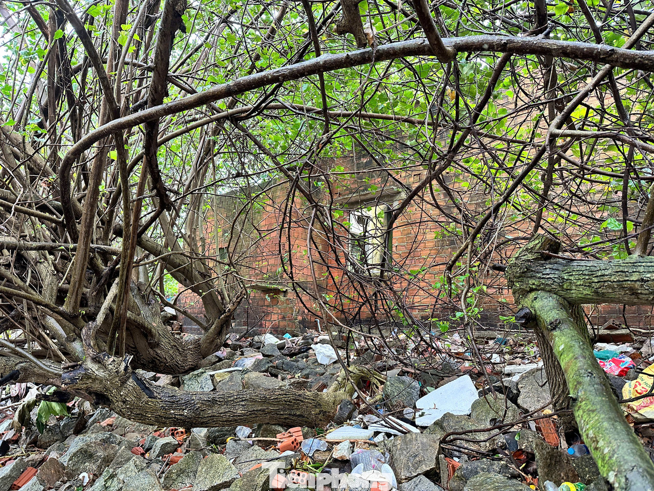 Căn nhà người dân cạnh bờ biển chực chờ sạt lở, sóng biển "nuốt chửng".. Căn nhà người dân cạnh bờ biển chực chờ sạt lở, sóng biển "nuốt chửng"..