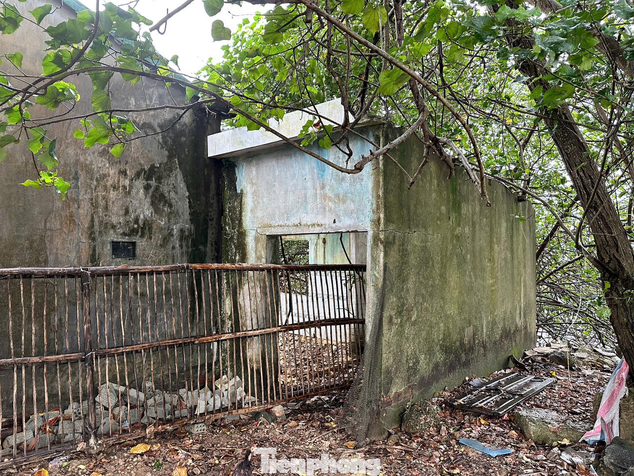 Căn nhà người dân cạnh bờ biển chực chờ sạt lở, sóng biển "nuốt chửng".. Căn nhà người dân cạnh bờ biển chực chờ sạt lở, sóng biển "nuốt chửng"..