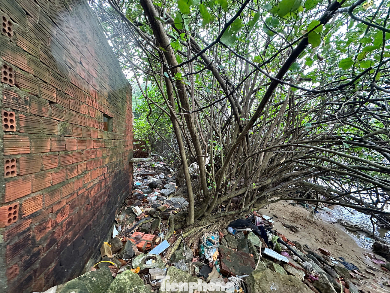 Căn nhà người dân cạnh bờ biển chực chờ sạt lở, sóng biển "nuốt chửng".. Căn nhà người dân cạnh bờ biển chực chờ sạt lở, sóng biển "nuốt chửng"..