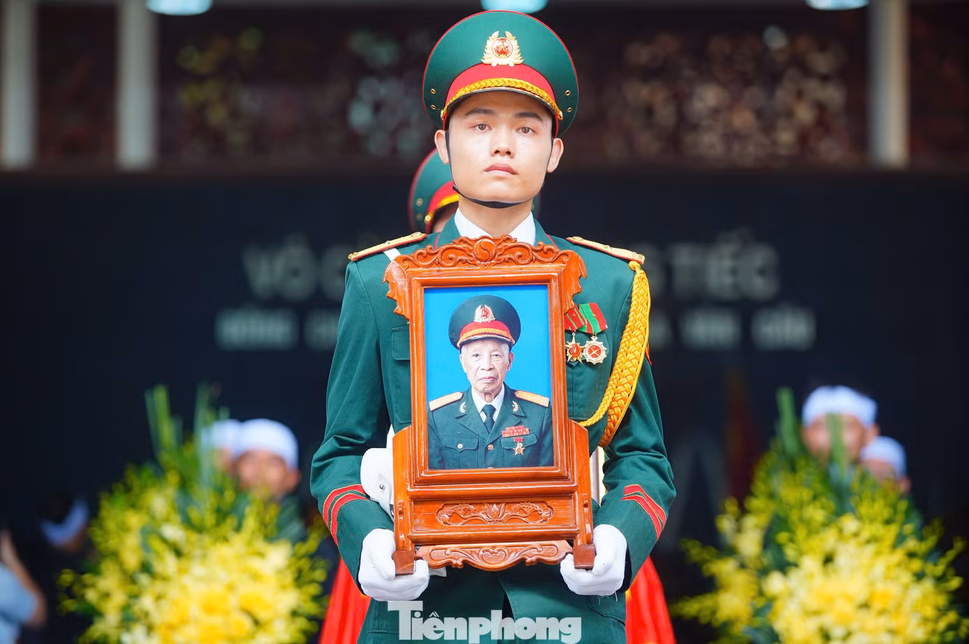 tp-306ahlvc25.jpg