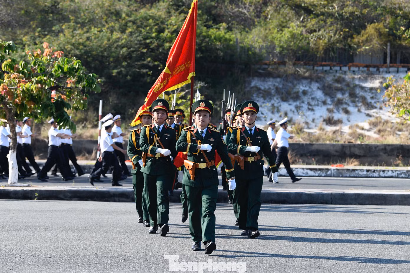 tp-263tapthuongco1.jpg
