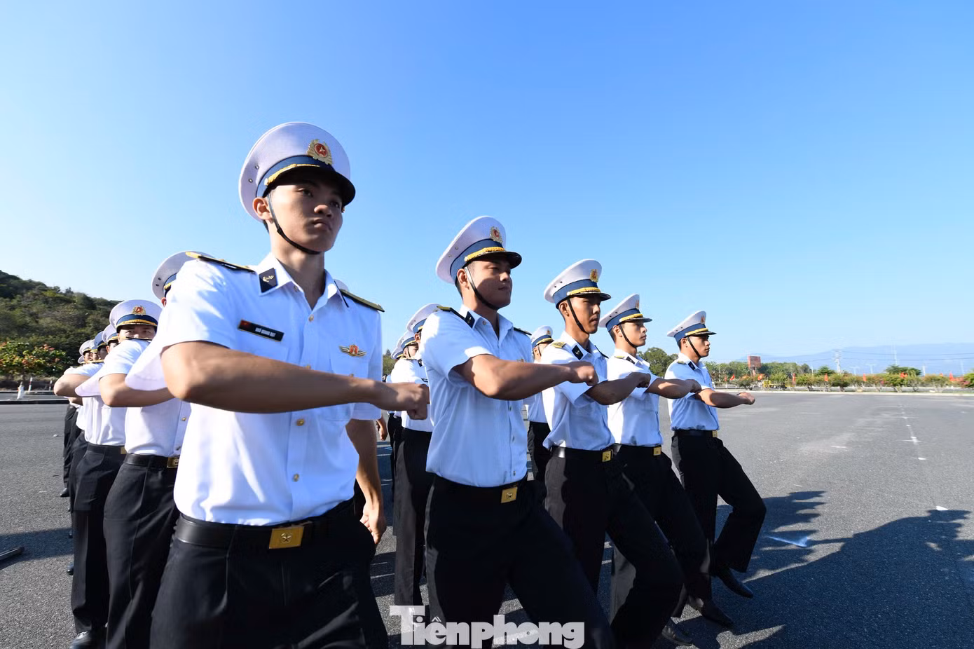 tp-263tapthuongco14.jpg
