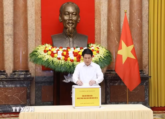 tienphong-310ctn.jpg