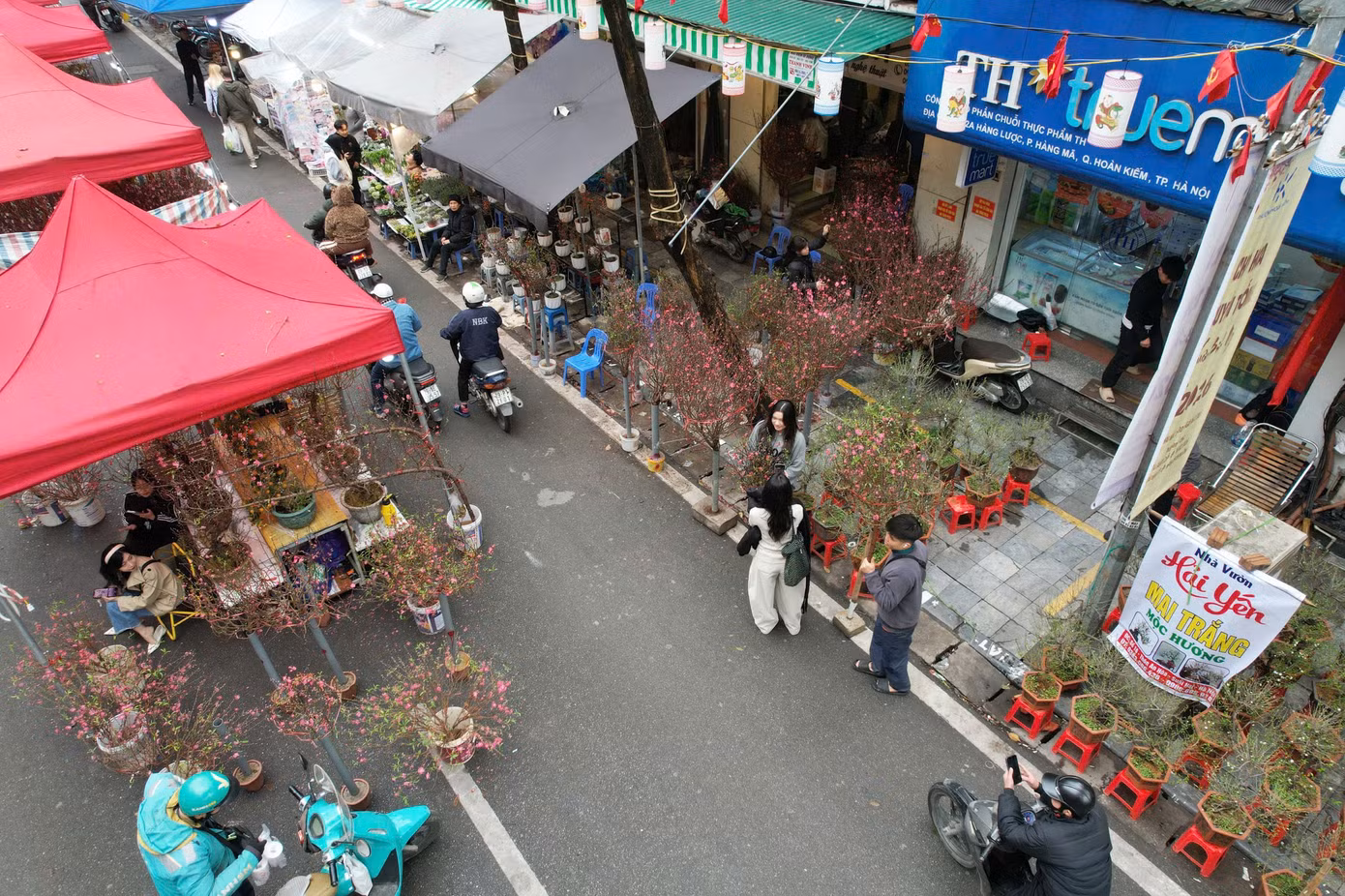 tienphong-102chohoa1.jpg
