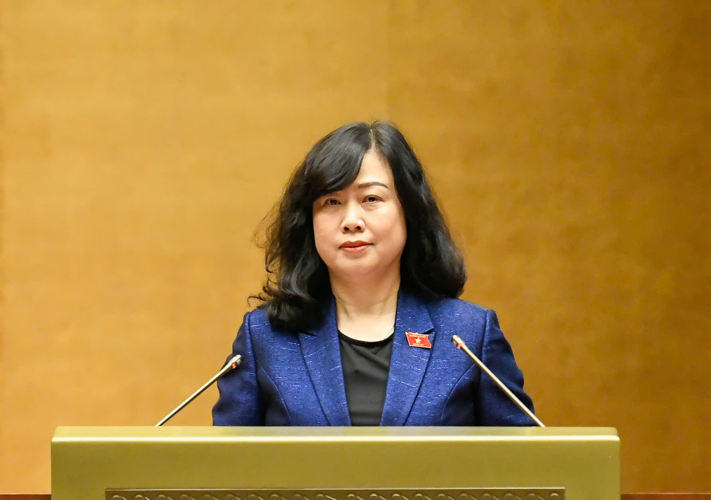 Bộ trưởng Bộ Y tế Đào Hồng Lan. Ảnh: Như Ý. tienphong-1711dhl.jpg