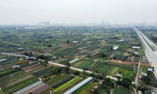 Dự án khu công nghệ cao sinh học hơn 1 tỷ đô được giao đất