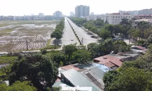 Hà Nội xây 1.166 căn hộ cho thuê tại phường Việt Hưng