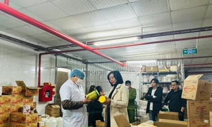 Hà Nội: Đình chỉ hoạt động một cơ sở sản xuất gia vị