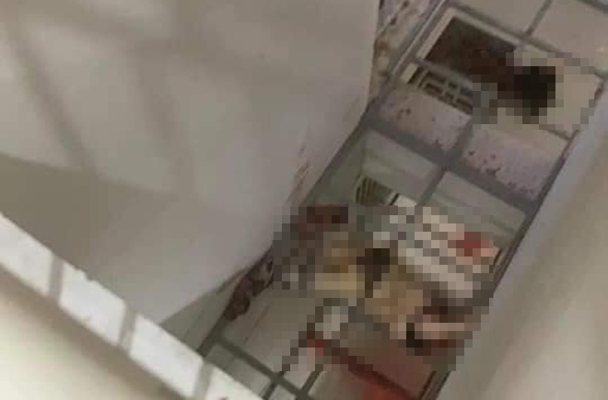 Khu vực phát hiện vụ việc.