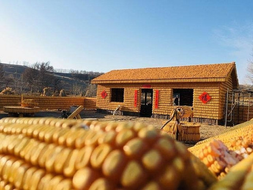 Ngôi nhà đẹp như dát vàng được xây từ 20 ngàn bắp ngô