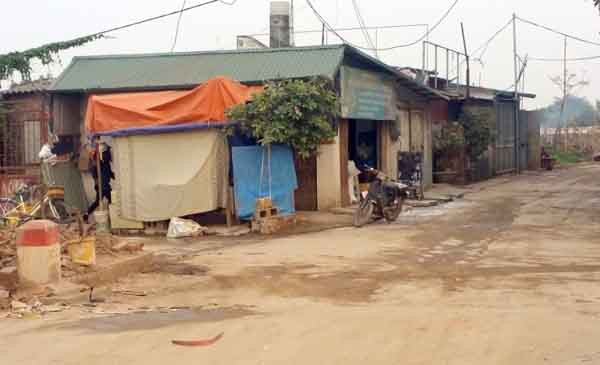 Những ngôi nhà xây dựng không phép ở bãi giữa sông Hồng. (Ảnh: Trần Quý)