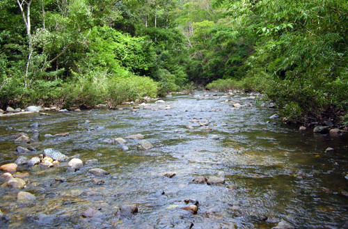 Nữ phượt thủ tử vong vì bị lũ cuốn trôi tại Bình Thuận