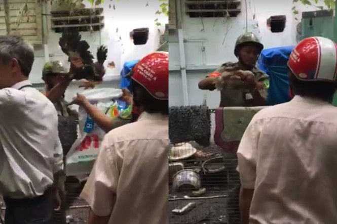 Đoàn kiểm tra phường cùng công an và tổ dân phố bắt 9 con gà giá 10 triệu đồng của anh Tuấn Anh. Ảnh cắt từ clip