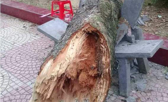 Hiện trường vụ việc