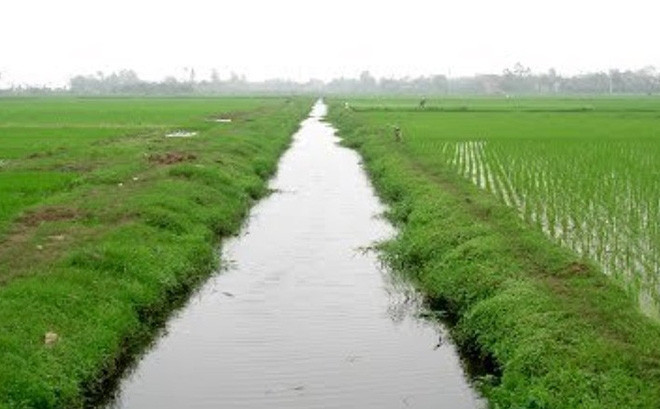 Kinh hãi phát hiện thi thể dưới mương nước sâu 1m