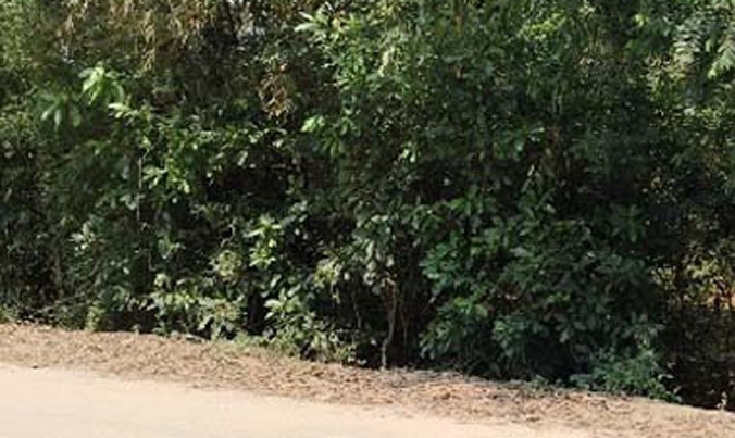 Bí thư xã ở Phú Quốc bị cướp dí dao lấy 2 điện thoại iPhone