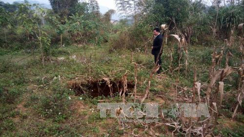 Hố sụt lún lớn tại ruộng ngô của anh Nông Văn Hưởng ở thôn Bản Tàn, thị trấn Bằng Lũng, huyện Chợ Đồn. 