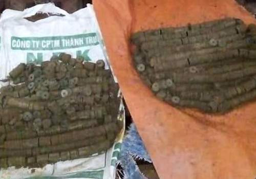 Loại tiền người dân xã Quỳnh Châu phát hiện. Ảnh: CTV. 