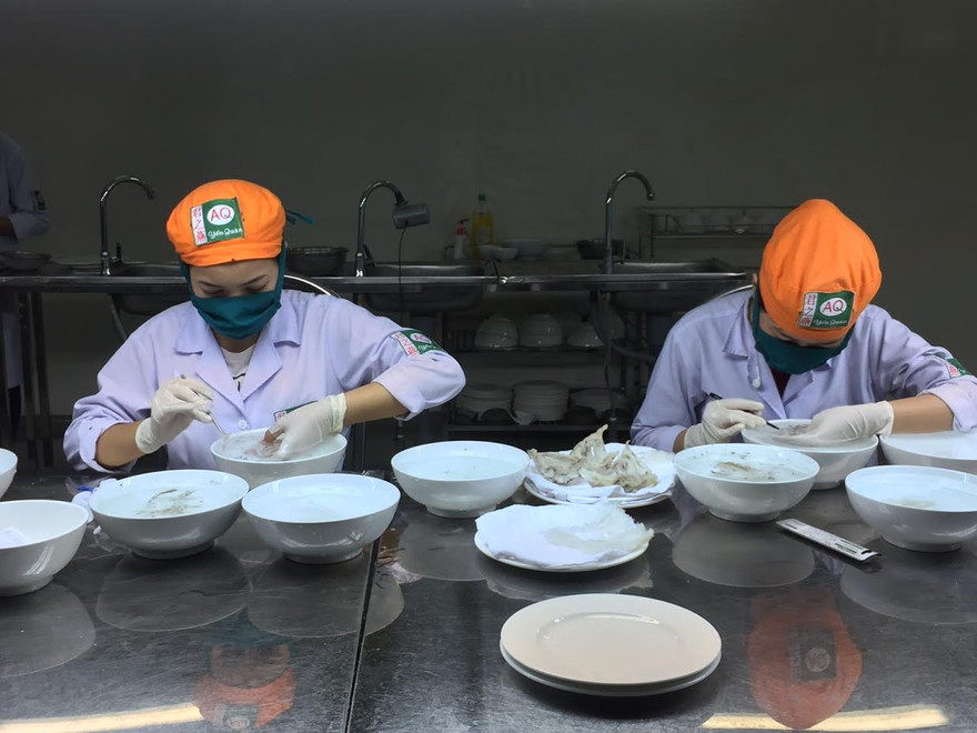 Nhân viên đang sơ chế tổ yến nuôi