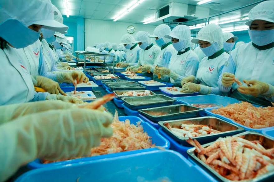 Có thể tăng tuổi nghỉ hưu từ năm 2021