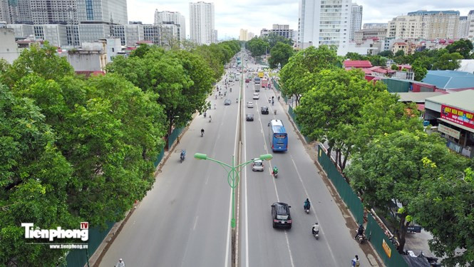 TIN NÓNG 24H: Hà Nội bắt đầu di dời, chặt hạ hơn 1.000 cây xanh