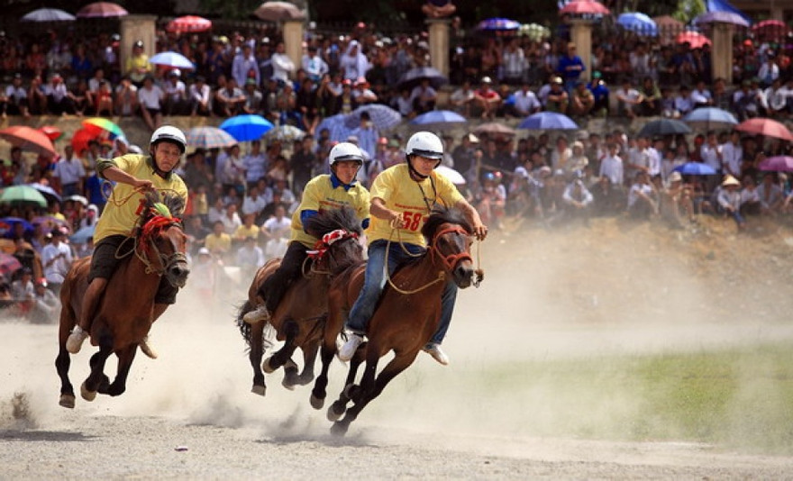 Bộ Tài chính nói gì về cá cược hợp pháp?