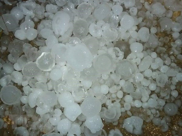 Mưa đá kéo dài kèm giông lốc ở Lào Cai