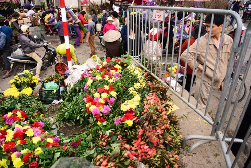 Các mặt hàng hoa tăng giá mạnh, đặc biệt là hoa ly, hoa hồng do Valentine sát Tết, nhu cầu mua cao, theo một số đầu mối bán hoa. 