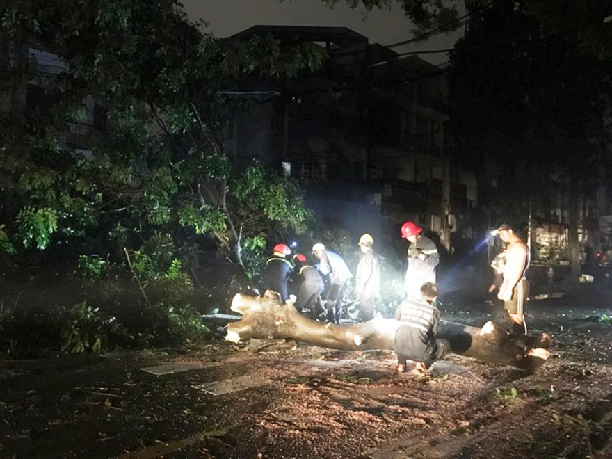 TPHCM: Mưa lớn khiến cây cổ thụ bật gốc đè dây điện, nhiều người hoảng loạn