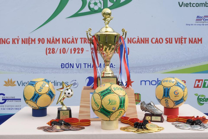 Cúp và huy chương của giải đấu