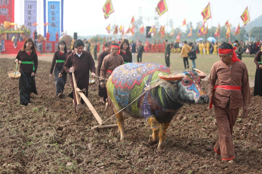 Người dân đeo khẩu trang xem 'Vua' đi cày khai hội Tịch điền Đọi Sơn
