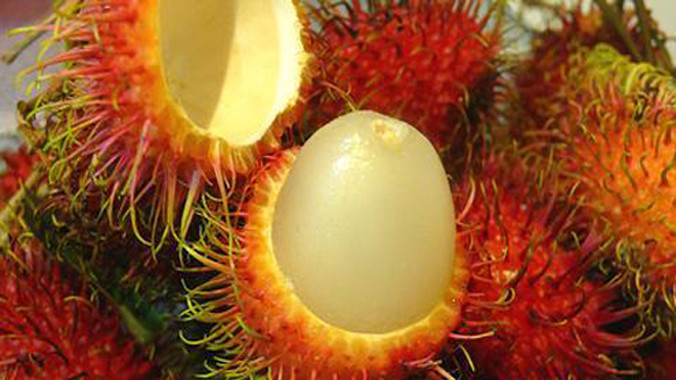 Quả chôm chôm trơn mọng sau khi bóc vỏ.