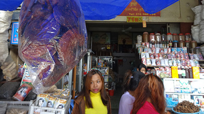 Thứ được gọi là nấm lim xanh được bán tràn lan ở Phnôm Pênh.