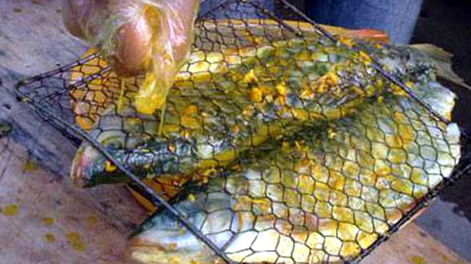 Cá bỗng nướng thơm ngon được nhiều thực khách thích thú.