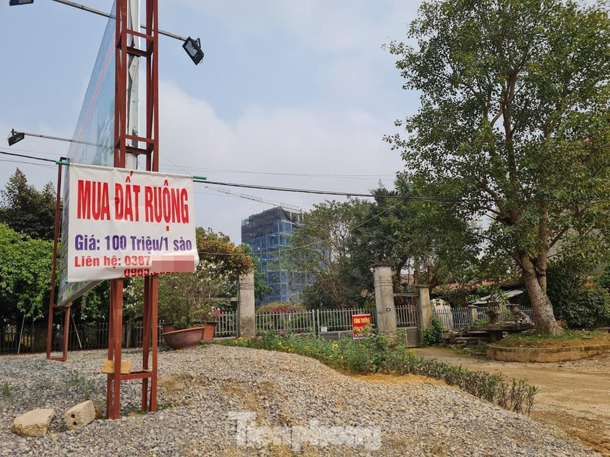 Bộ, ngành, địa phương chặn cơn 'sốt đất'