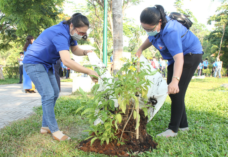 Bạn trẻ thành phố Thủ Đức ra quân trồng hàng ngàn cây xanh