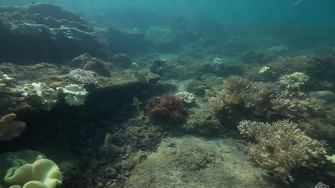 Các nhà khoa học phát hiện một thành phố bị chìm ở ngoài khơi đảo Mafia, Tanzania. Ảnh: Alan Sutton.