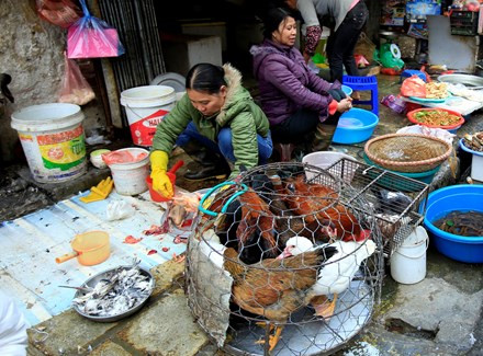 Hà Nội sẽ kiên quyết dẹp bỏ tình trạng giết mổ gia cầm mất vệ sinh trên địa bàn.
